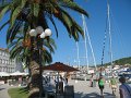 IMG_8967