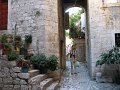 IMG_9013
