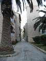IMG_9042