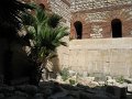 IMG_9083