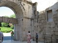 IMG_9101