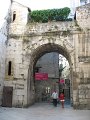 IMG_9116