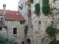 IMG_9184