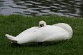 IMG_4167