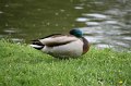 IMG_4168