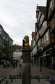 IMG_4818