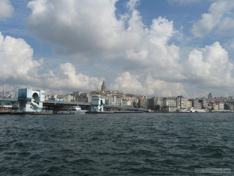 IMG_0543.jpg