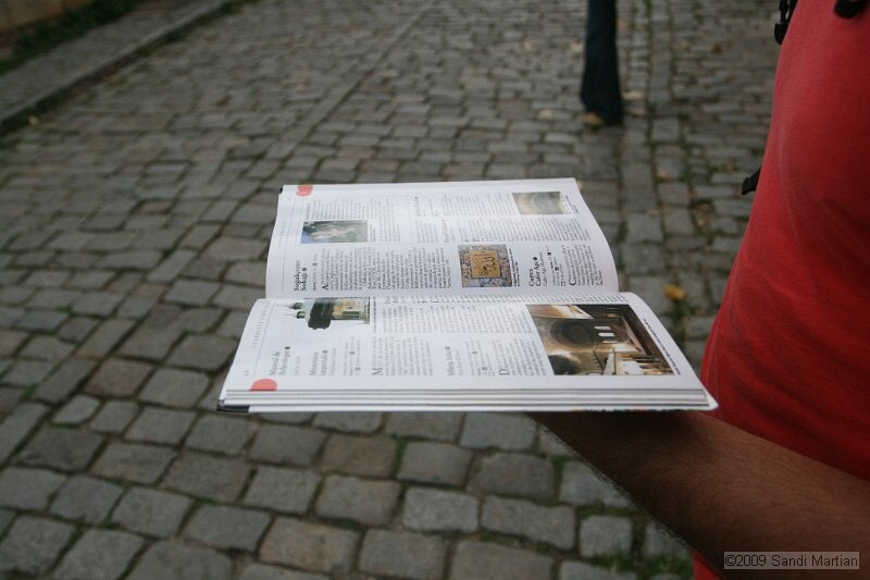 IMG_8461.JPG