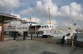 IMG_8125