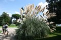 IMG_8214
