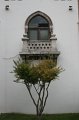 IMG_8431