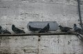 IMG_8623