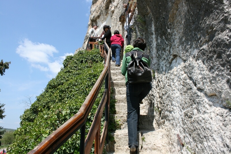 IMG_3481.jpg