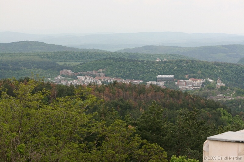 IMG_3540.jpg