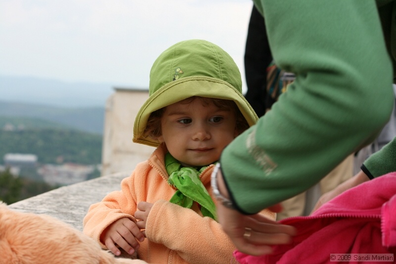 IMG_3541.jpg