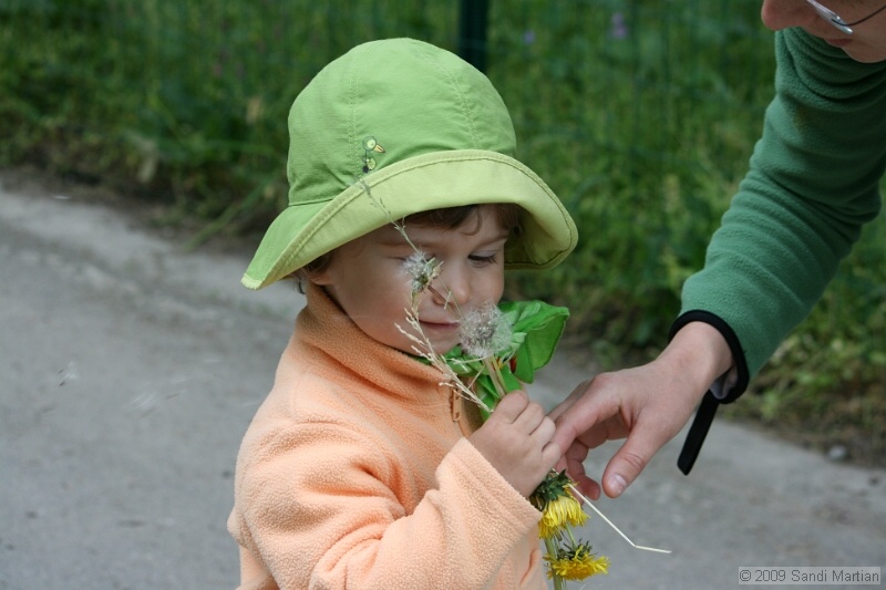 IMG_3557.jpg