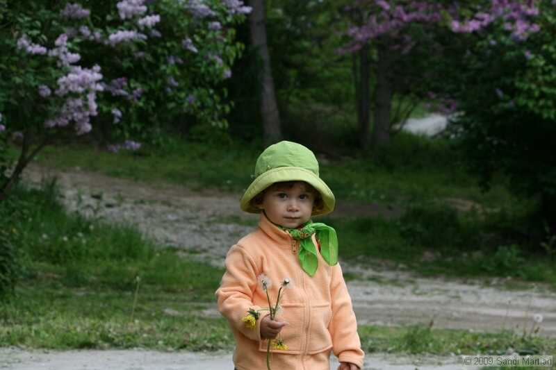 IMG_3563.jpg