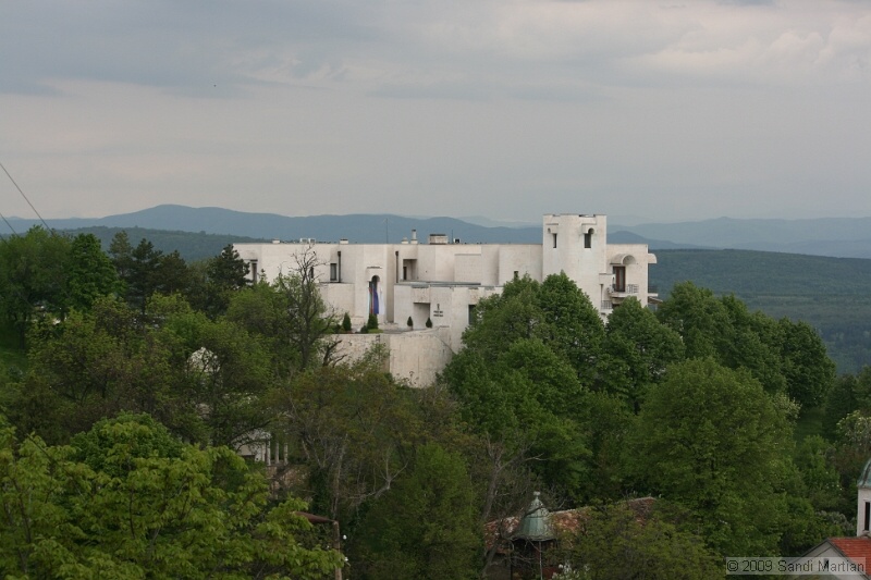 IMG_3568.jpg