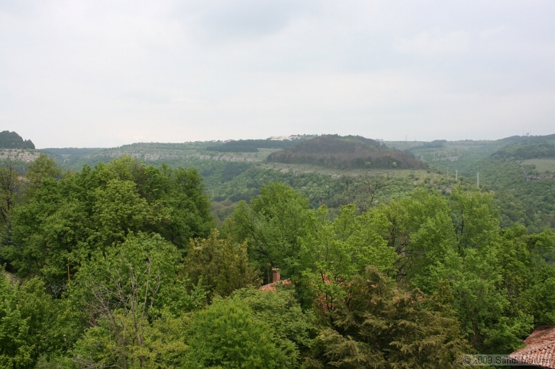 IMG_3676.jpg