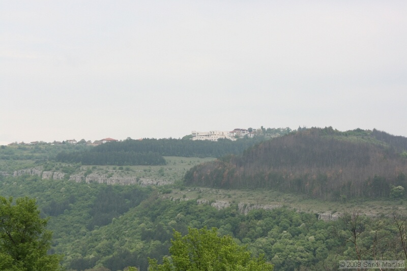 IMG_3677.jpg