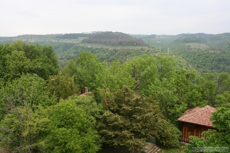 IMG_3678.jpg