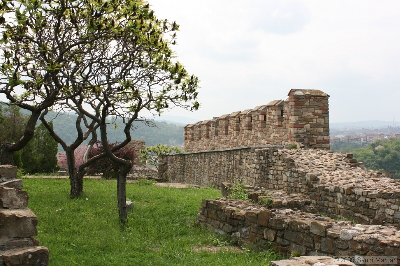 IMG_3725.jpg