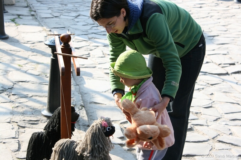 IMG_3742.jpg