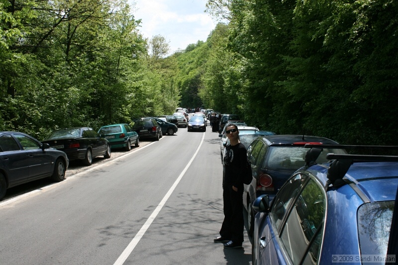 IMG_3774.JPG