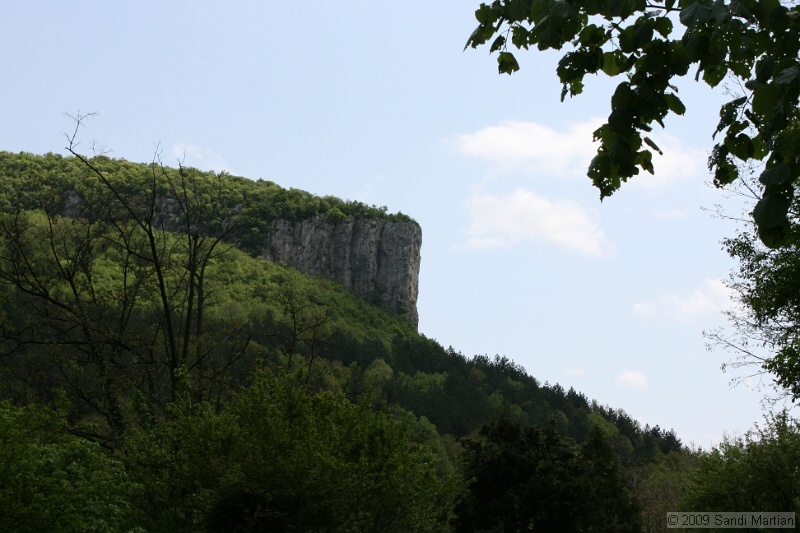 IMG_3777.JPG