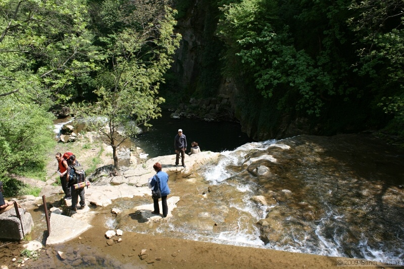 IMG_3781.JPG