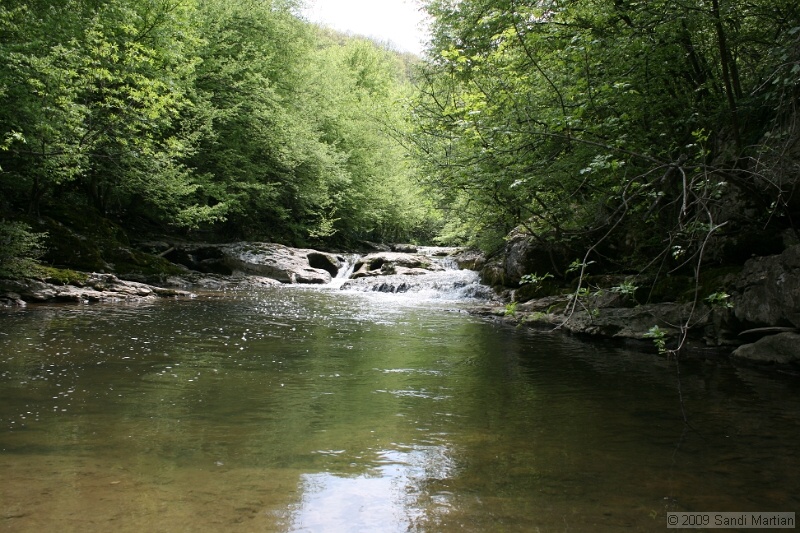 IMG_3823.JPG