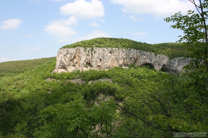 IMG_3833.JPG