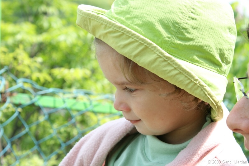 IMG_3847.JPG