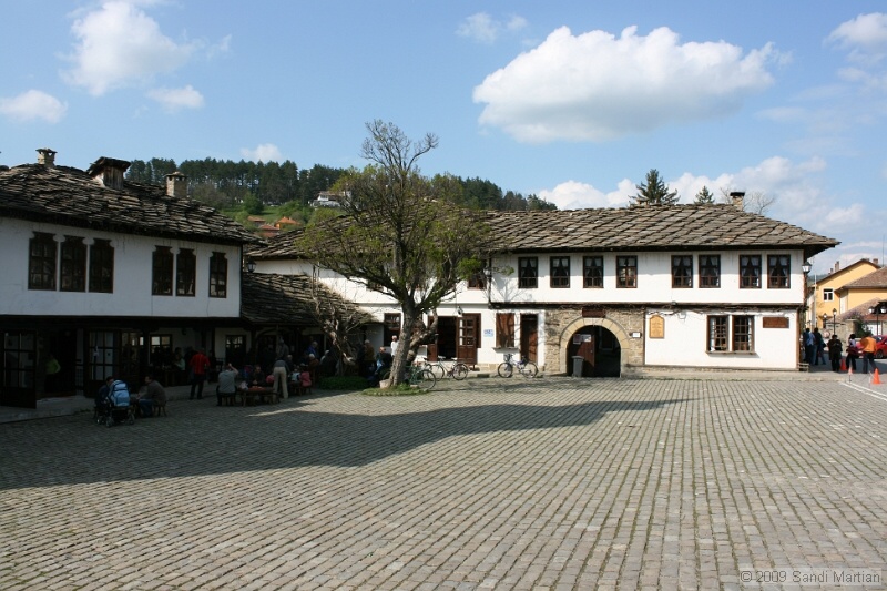 IMG_3889.JPG