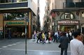 IMG_0509