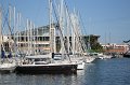 IMG_0545