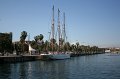 IMG_0547