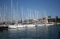 IMG_0548