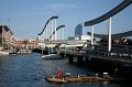 IMG_0557
