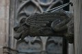 IMG_0577