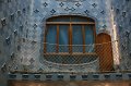 IMG_0686