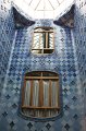 IMG_0687