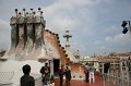 IMG_0709