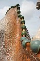 IMG_0715