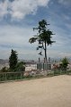 IMG_0765