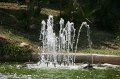 IMG_0795