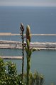 IMG_0807