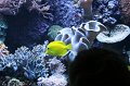 IMG_0950
