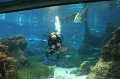 IMG_0958