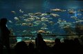 IMG_0968
